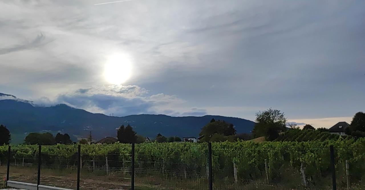 Myans Chambre Au Coeur Des Vignes المظهر الخارجي الصورة